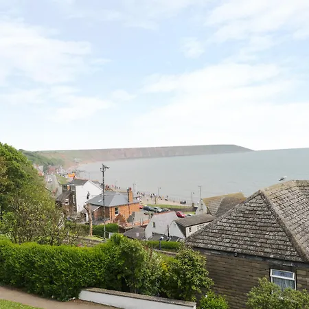 Sea Dog Filey
